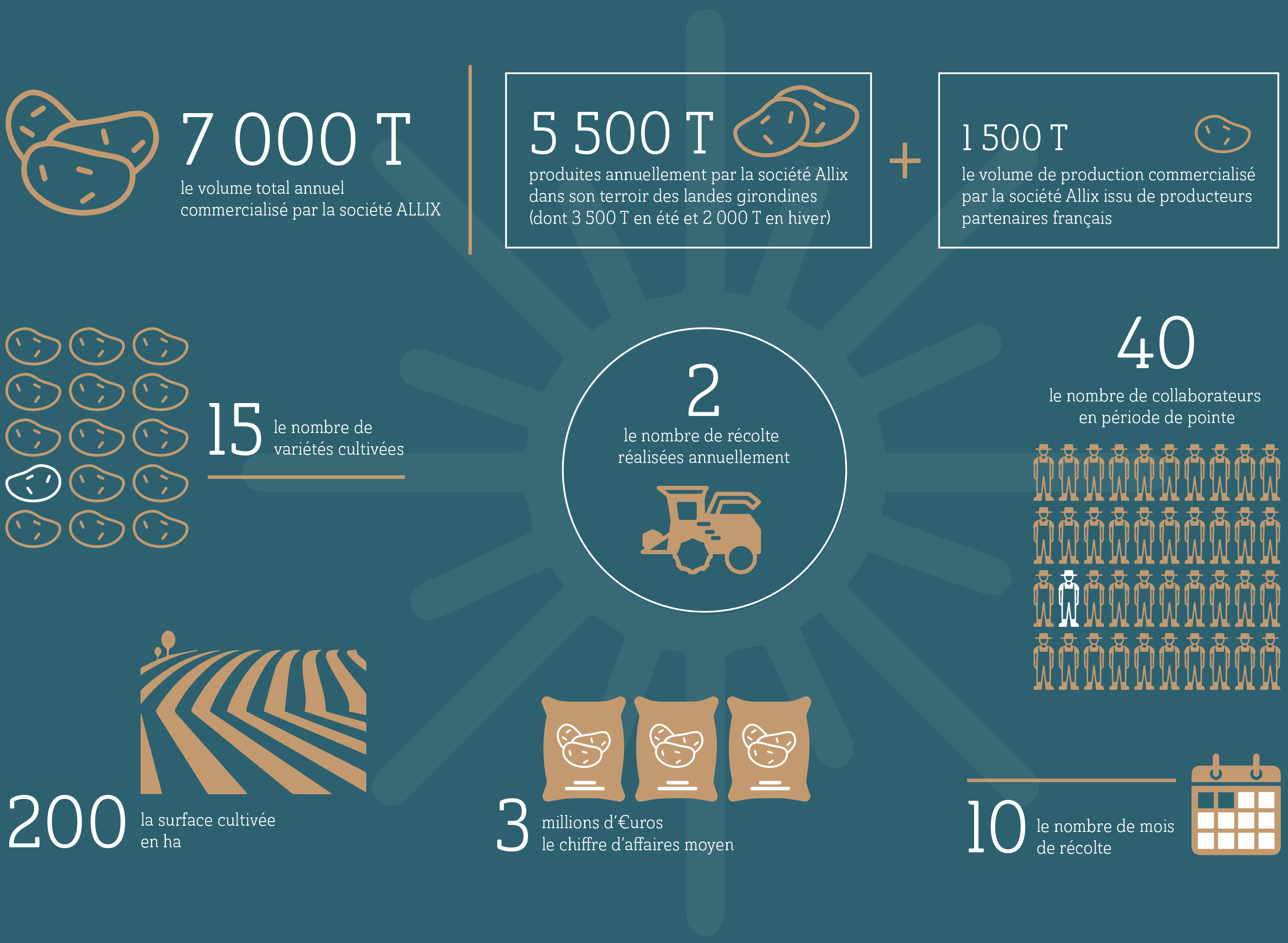 INFOGRAPHIE-ALLIX